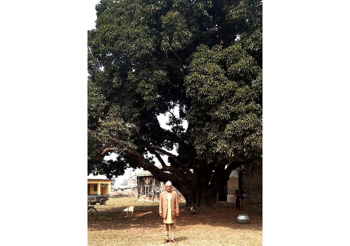 ram chandra with tree1676791102.jpg
